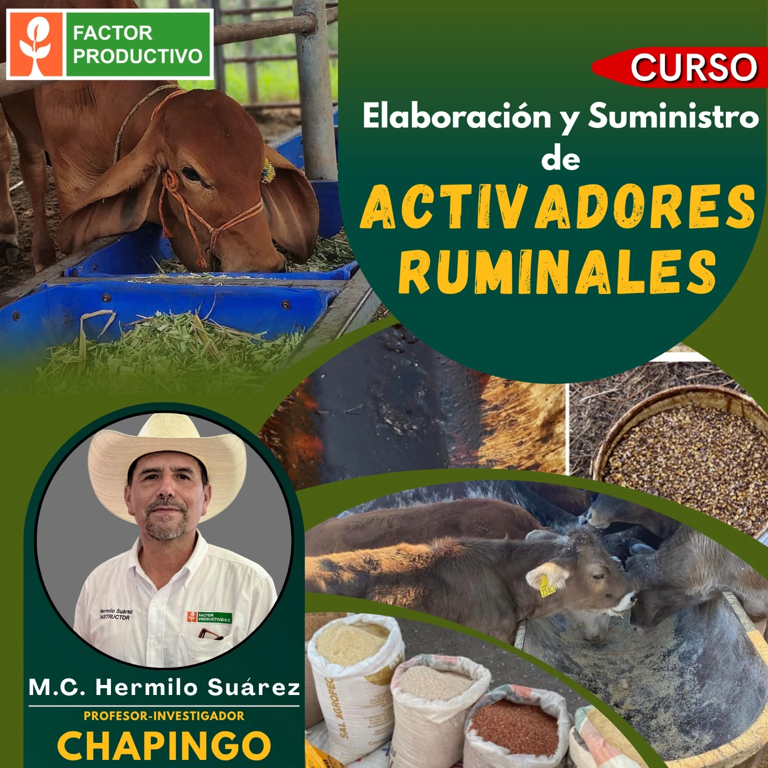Flyer del curso Elaboración y Suministro de Activadores Ruminales
